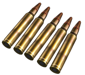 http://dayzrussia.com/wiki/images/a/ac/5.56mm_Rounds.png